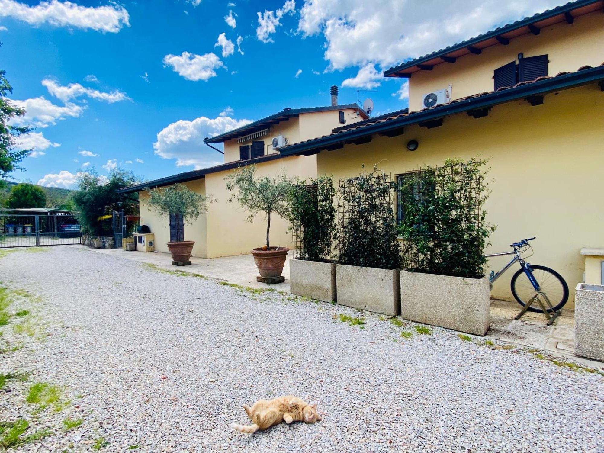 Casa Vacanze Barbara SantʼArcangelo المظهر الخارجي الصورة